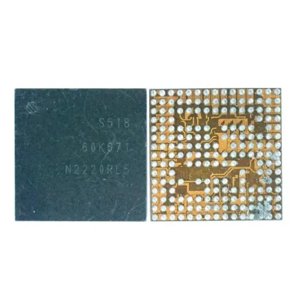 S518 ORG IC