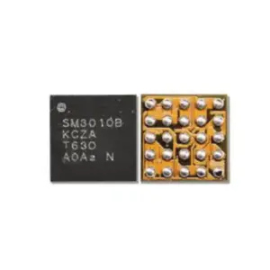 SM3010B ORG IC