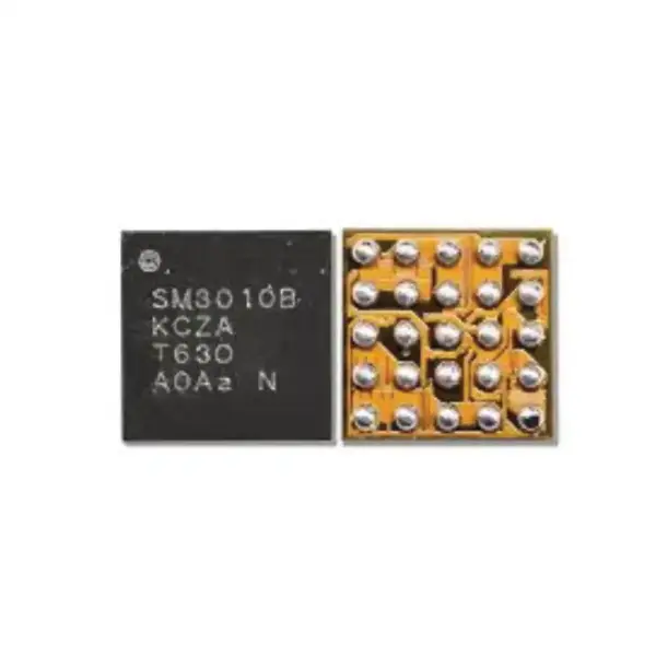 SM3010B ORG IC