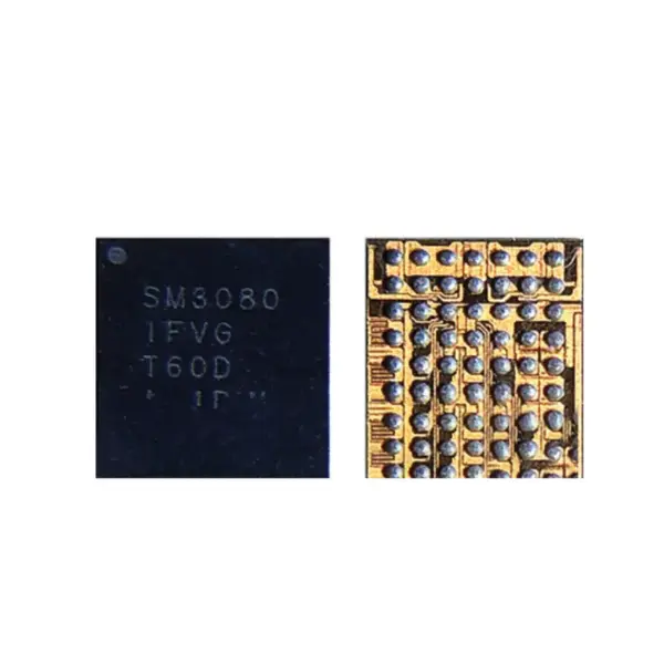 SM3080 ORG IC