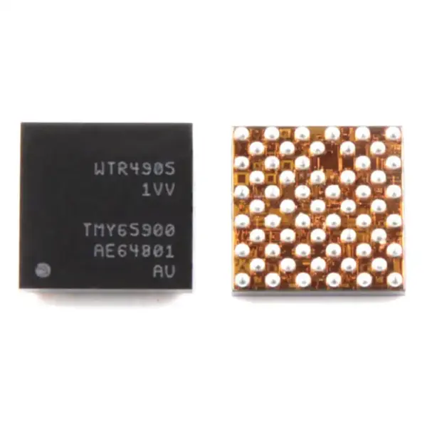 WTR4905 1VV ORG IC