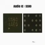 IC SSB0 ORG